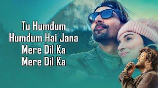 Humdum (LYRICS) - Vishal Mishra | SAVI | Raj Shekhar | Harshvardhan | Divya khosla | Anil Kapoor