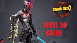 Beginners Guide to Zero the Assassin | Level 30 Guide | Borderlands 2