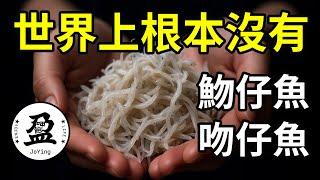 世界上根本沒有吻仔魚? 危害生態? 魩仔魚真的不能吃嗎  | 呷飽盈