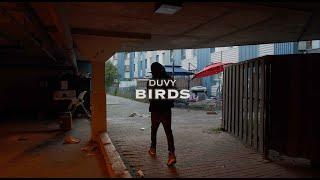 Duvy | Birds (Official video)