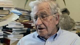 Noam Chomsky's views on Climate Change and Externalities