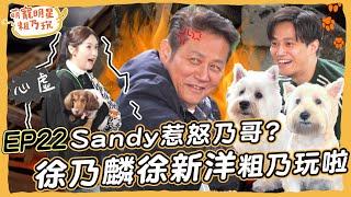 [SUB]EP22 徐乃麟 徐新洋 父子粗乃玩啦！ Sandy 差點惹怒乃哥？ 來賓竟變主持人？【 萌寵明星粗乃玩 】@haveapetday 呵喜 曼曼 波波