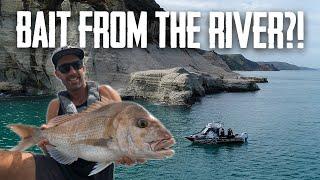 Using STRANGE BAIT to catch BIG FISH - Season 6 EP3 Raglan