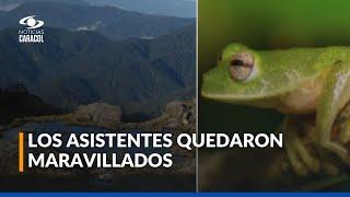 Delegaciones europeas recorrieron los Farallones de Cali en el marco de la COP16