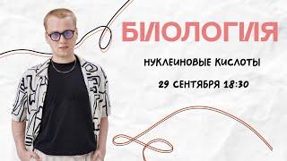 Биология ЦТ | Нуклеиновые кислоты | Ян Менделеев