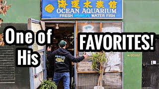 Master Fish Breeder Visits Aquarium Fish Store!