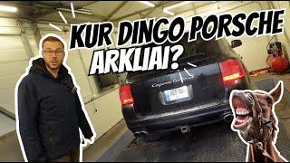 Kiek arklių trūksta Izidoriaus Porsche?