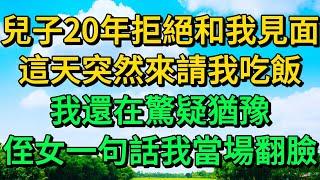 兒子20年拒絕和我見面，這天突然來請我吃飯，我還在驚疑猶豫，侄女一句話我當場翻臉 | 柳梦微语