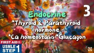 Endocrine. Thyroid & Parathyroid Hormone, Calcium Homeostasis. 2024 First Aid USMLE Step 1 #firstaid