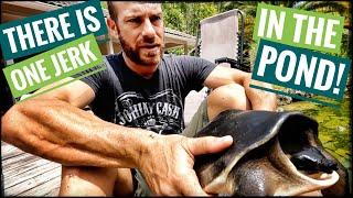 I have a JERKFACE Fly River Turtle!