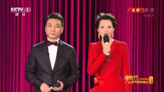 CCTV 春节联欢晚会 2015 Spring Festival 20150218 1080i HDTV H.264