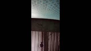 Khushboo Kumari Raj. 103 is live!
