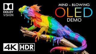 MIND-BLOWING OLED Dolby Vision 4K HDR 60fps (4K Video)