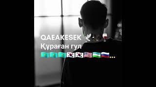 QARAKESEK Қураған гул