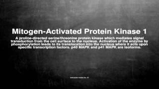 Medical vocabulary: What does Mitogen-Activated Protein Kinase 1 mean