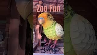 #zoo #fun #zoofun