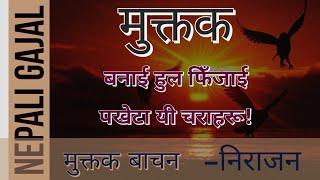 बनाई हुल फिँजाई पखेटा यी चराहरु।Nepali Gazal।Nepali Muktak।Nepali Sahityik rachana। Nirajan Bhusal