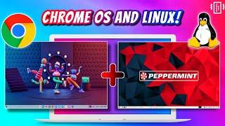 Chrome OS DUAL BOOT Install with LINUX Distros, ANDROID & Google Play Store !