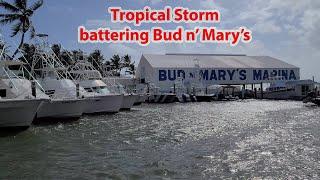 Tropical Storm Laura coasting by Bud n' Mary's Marina in Islamorada!  Also some backcountry fishing.