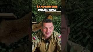 Czy Któreś z Państw Unii Europejskiej Lub NATO Zaoferowało Pomoc Polsce ? Kto Broni Naszej Granicy?