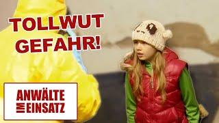 Hat Kim Tollwut? Bauernhof muss evakuiert werden! | 1/2 | Anwälte im Einsatz | SAT.1