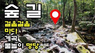 계곡 물놀이 명당 숲길 걷기 _ 고급진 휴양림 물놀이 숲길 _ 산음자연휴양림 숲길 _ Saneum Forrest Resort_ near Seoul, South Korea