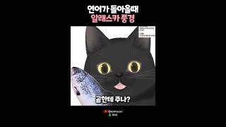 연어가 돌아올때 알래스카 풍경? 