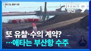 또 유찰·수의 계약?…애타는 부산항 수주 / KBS  2024.10.04.