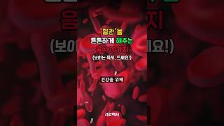 혈관을 튼튼하게 해주는 10가지 음식 꼭! 챙겨드세요 #건강