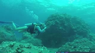 Intro Dive in Maui