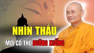 Nhìn Thấu - Buông Xuống - Tự Tại - Tùy Duyên - An Nhiên Mà Sống | HT Viên Minh