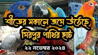 শীতের সকালে জমে উঠেছে  মিরপুর পাখির হাট।।  Mirpur pakhir heart