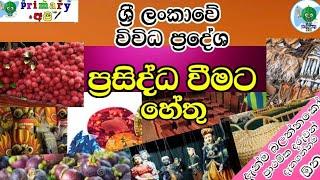 ශ්‍රී ලංකාවේ විවිධ ප්‍රදේශ ප්‍රසිද්ධ වීමට හේතු****primary අපි****