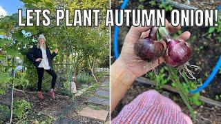 NOT MY BEST DAY AT THE ALLOTMENT / ALLOTMENT GARDENING UK