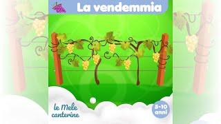 La vendemmia @Lemelecanterine