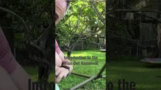 Introduction to the Wise Owl Hammock