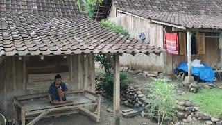 Suasana Kuno Desa Terpencil Suku Jawa di Pedalaman Hutan Jati Semarang