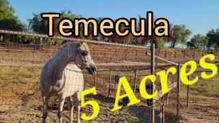  HORSE PROPERTY for sale in Temecula California 