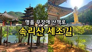 6월 여행지추천 무장애여행 보은 속리산 세조길