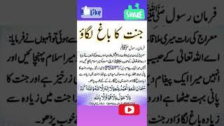 How to | Jannat ka bagh lagao | Islamic Urdu Shayari | Islamic quotes| #islamic  Bismillah Voice