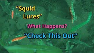 Sea fishing: Squid lures: Water Wolf: Fishing camera: Are there Squid down there? 