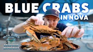 Blue Crabs In Northern Virginia at Blue Ridge Seafood Restaurant