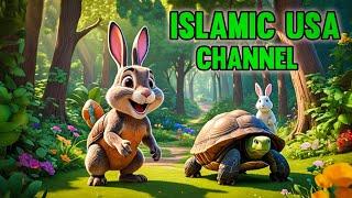 USA Islamic Cartoons Tricks || Awais Somroo