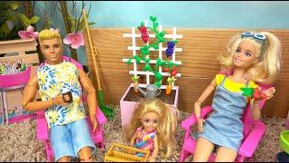 Barbie and Ken at Barbie Dream House: Barbie New Garden w Sister Chelsea