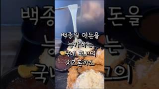 백종원 연돈을 능가하는 국내1위 최고의 치즈돈까스 #shorts