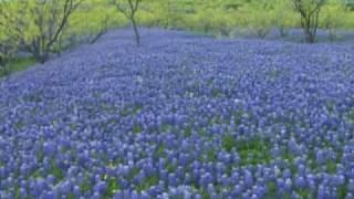 Keep Texas Wild: Blackland Prairie