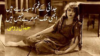 Akelepan Se Daray Nahin Hain - Jamal Roomi - Sad Urdu Shayari - اکیلے پن سے ڈرے نہیں ہیں