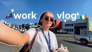 a realistic work office vlog | whv brisbane