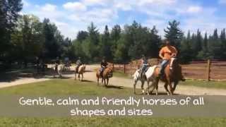 Adirondack Equine Center - ADK EQUINE - Horseback Trail Riding - lakeplacidhorse.com