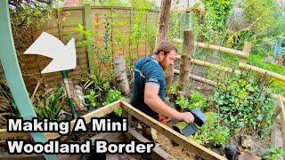 How to Make a MINI WOODLAND BORDER - PLANTS for SHADE